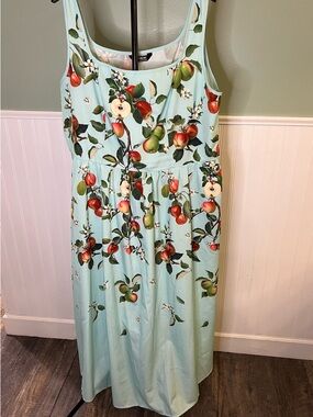 BloomChic Light Green sleeveless maxi Dress w/ Apple & Blossom Motif. Size 18/20